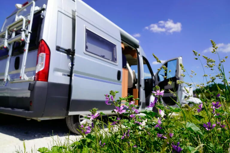 a van parked on a road with flowers